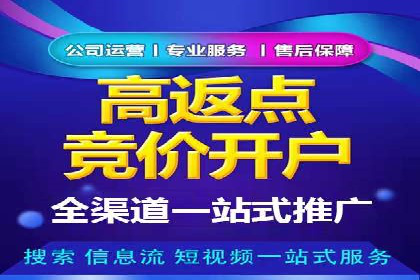 初探SEM推广代运营的多种成功模式